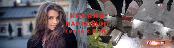 винт Михайловка