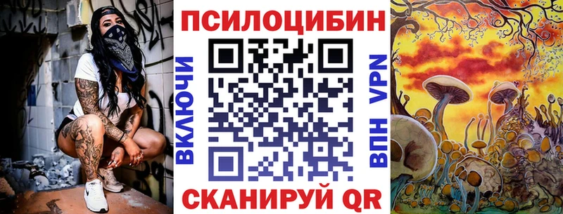 Купить где  Камень-на-Оби  Псилоцибиновые грибы Magic Shrooms 
